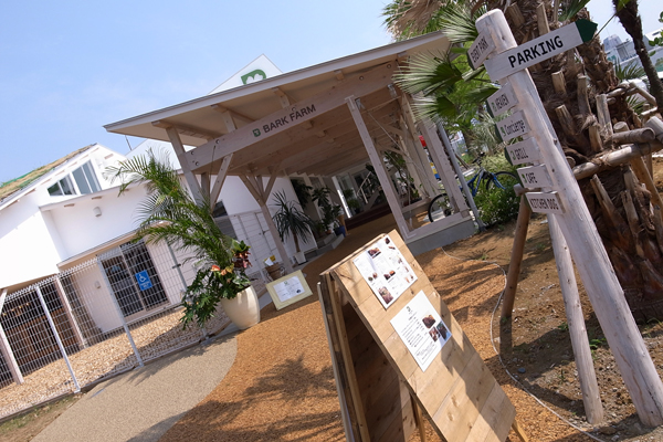 1008163 RIMG2074.jpg